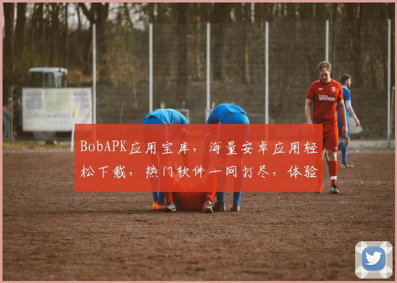 BobAPK应用宝库，海量安卓应用轻松下载，热门软件一网打尽，体验极致便捷