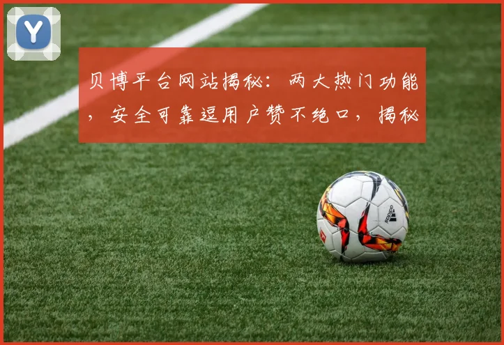 贝博平台网站揭秘：两大热门功能，安全可靠逗用户赞不绝口，揭秘平台优势逗你体验非凡