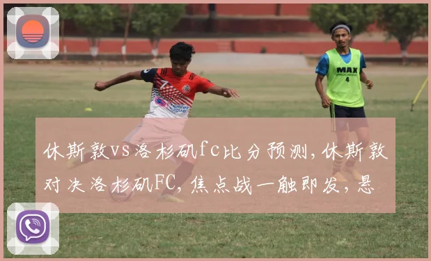 休斯敦vs洛杉矶fc比分预测,休斯敦对决洛杉矶FC,焦点战一触即发,悬念重重