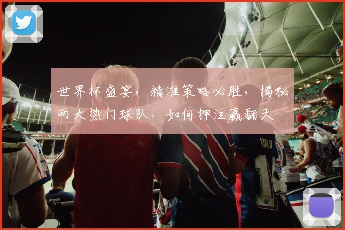 世界杯盛宴，精准策略必胜，揭秘两大热门球队，如何押注赢翻天