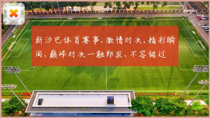 新沙巴体育赛事,激情对决,精彩瞬间,巅峰对决一触即发,不容错过